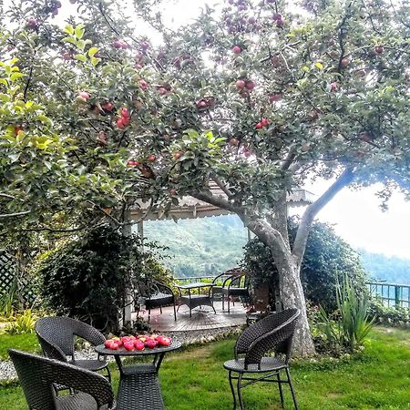 נייניטל The Swiss Village Resort מראה חיצוני תמונה