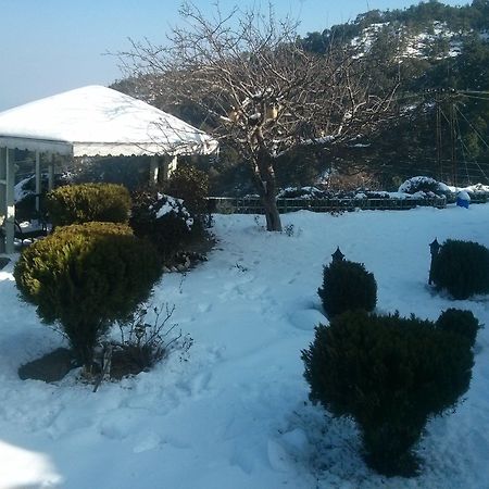 נייניטל The Swiss Village Resort מראה חיצוני תמונה